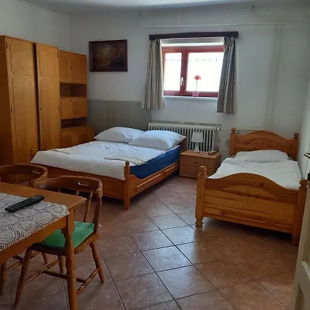 Flamingo * ショプロン